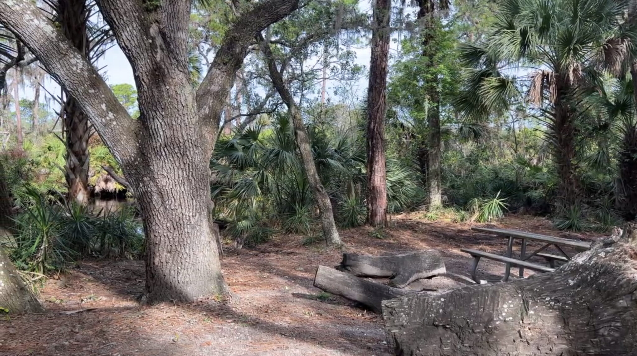 Oscar Scherer State Park - Florida RV Trade AssociationFlorida RV Trade ...