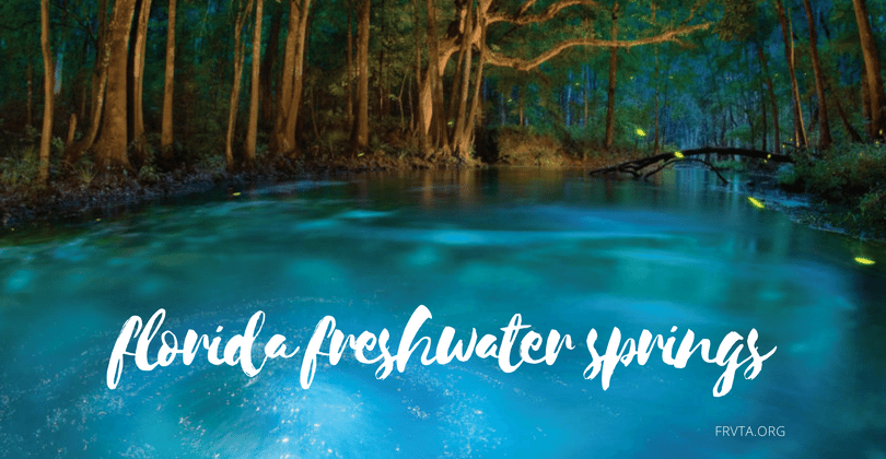 Top Florida Freshwater Springs